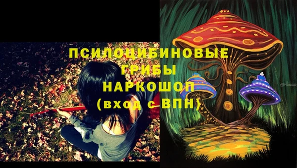 ГАЛЛЮЦИНОГЕННЫЕ ГРИБЫ Новокубанск