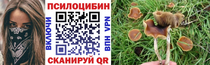 наркота  Тутаев  Галлюциногенные грибы Psilocybe 